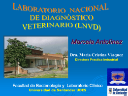 Diapositiva 1 - Maria Cristina Vasquez