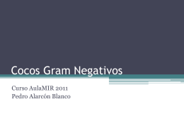 Cocos Gram Negativos - ::.. Aula-MIR