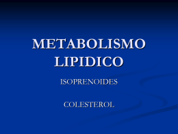 METABOLISMO LIPIDICO - Bioquimica113's Blog