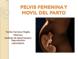 PELVIS FEMENINA Y MOVIL DEL PARTO