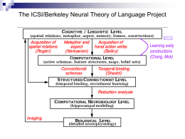 5 levels of Neural Theory of Language