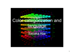 Issues on Perception and Categorization of Color