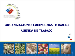 CHILEAN AGRICULTURE BIOTECNOLOGY POLICIES