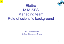 Elettra I3 IA-SFS Managing team Role of scientific …