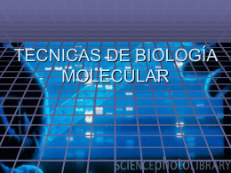 TECNICAS DE BIOLOGIA MOLECULAR