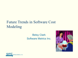 Added Sources of Costs in Maintaining COTS Systems