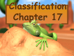 Chapter 18 Classification - Doral Academy Preparatory …