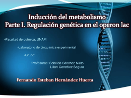 Diapositiva 1 - Bioquimexperimental