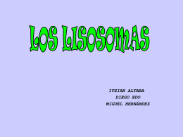 LOS LISOSOMAS - DEMO E