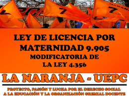 LEY DE LICENCIA POR MATERNIDAD 9.905
