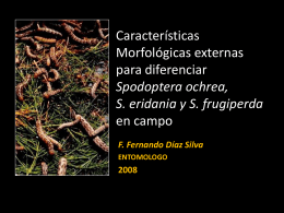 Diapositiva 1 - ::::::::Universidad Nacional Agraria La