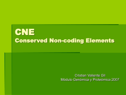 CNE Conserved Non