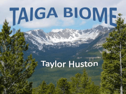 Taiga Biome - Rachel V Salyer's Blog