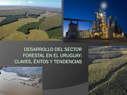 Desarrollo del sector forestal en el Uruguay