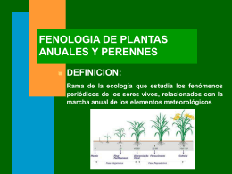 FENOLOGIA DE PLANTAS ANUALES Y PERENNES