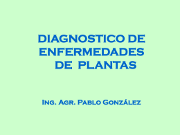 DIAGNOSTICO DE PLANTAS