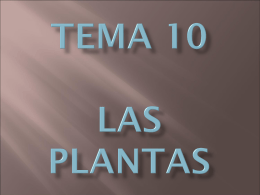 TEMA 10 LAS PLANTAS - CIENCIAS NATURALES CIA. DE …