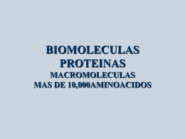 BIOMOLECULAS PROTEINAS MACROMOLECULAS MAS DE …