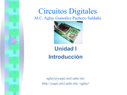 Circuitos Digitales I, Unidad I