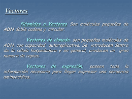 Diapositiva 1 - Instituto de Investigaciones