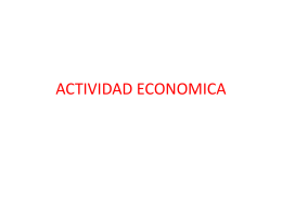 ACTIVIDAD ECONOMICA
