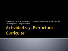 Actividad 1.3. Estructura Curricular