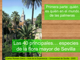 Las 40 principales… especies de la flora mayor de Sevilla