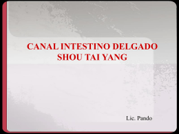CANAL SANJIAO SHAOYANG DE LA MANO
