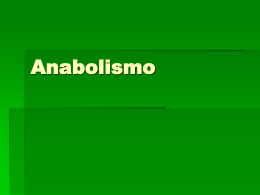 Anabolismo - tras