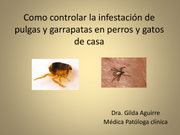 Control de pulgas y garrapatas