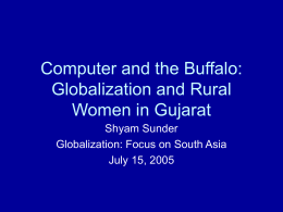 Computer as a Buffalo: Systemic Consequences of