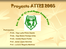 Proyecto ATTES 2005