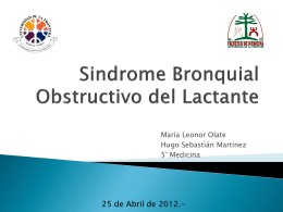 Sindrome Bronquial Obstructivo