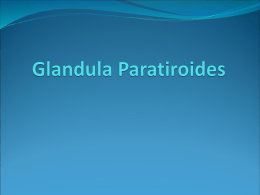 Glandula Paratiroides Dra. Lucia Ly