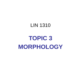 LIN 1101 - University of Ottawa