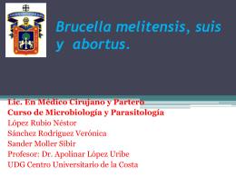 Streptococcus aureus y pneumoniae y enterococcus faecalis.