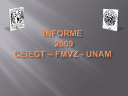 PLAN DE DESARROLLO 2009 – 2013 CEIEGT – FMVZ
