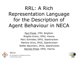 The Rich Representation Language (RRL) in NECA