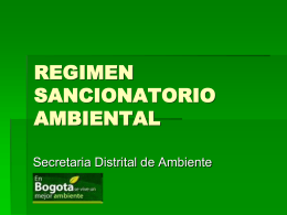 REGIMEN SANCIONATORIO AMBIENTAL