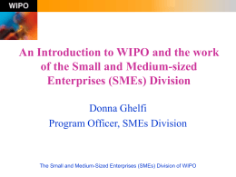 The Small and Medium-Sized Enterprises (SMEs) Division …