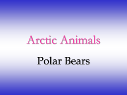 Arctic Animals - Westfield State University: Department of