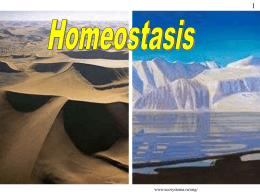 Homeostasis Powerpoint - Biology Teaching & Learning