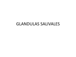GLANDULAS SALIVALES - histologiabucodentaria