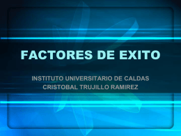 FACTORES DE EXITO