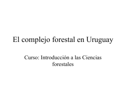 El complejo forestal en Uruguay