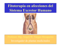 Fitoterapia en afecciones del Sistema Excretor Humano
