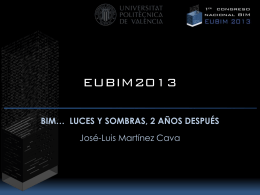 EUBIM2013