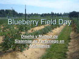 Blue Berry Field Day