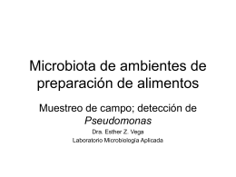 Microbiota de ambientes de preparacion de alimentos
