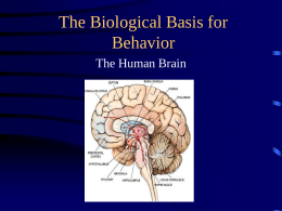 The Biological Basis for Behavior